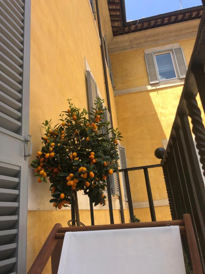 New! Bellissimo Palazzofranchi Pantheon Roma Exterior foto